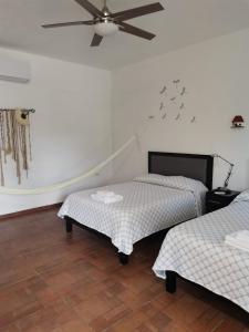 two beds in a room with birds on the wall at VILLA DEL CIELO TIXPEHUAL in Tixpehual