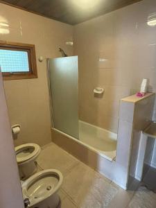 a bathroom with a toilet and a shower at Hosteria La Chacra in Esquel