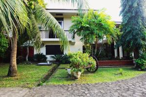 a house with palm trees in front of it at Casa Don Julian Guesthouse in Bais