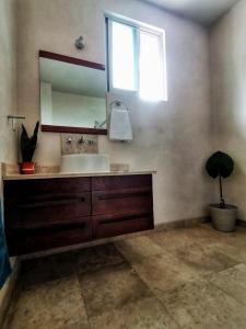 baño con lavabo, espejo y maceta en Casa del Pibe Piola en Oaxaca de Juárez