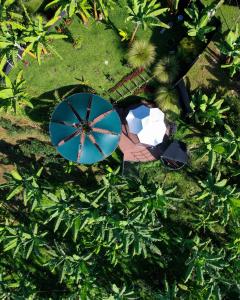 an overhead view of a blue umbrella in the grass at Chamí Glamping in Manizales