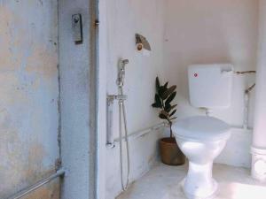 a bathroom with a toilet and a plant in it at Soo Hong (off Lebuh Armenian) penang heritage in George Town