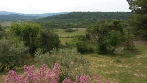 vistas a un campo con árboles y flores rosas en Le Logis, en Gordes