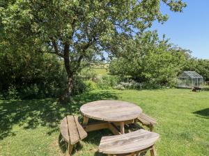 een picknicktafel en twee banken in het gras bij Dyffryn Bach in Rug