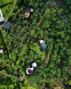 an overhead view of people in a garden at Chamí Glamping in Manizales