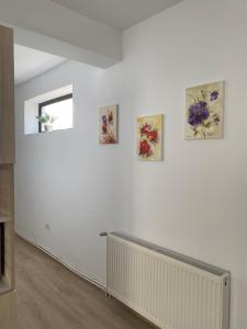 Fotografie z fotogalerie ubytování Casa Dima v destinaci Constanţa