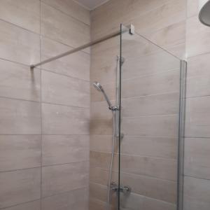 a shower with a glass door in a bathroom at Apartments Matkovic in Vir +67 photos