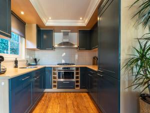 a kitchen with blue cabinets and a stove top oven at Cosy forest cabin with a barrel sauna in Voorthuizen