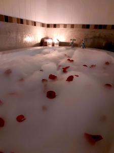 a bath tub with red rose petals in it at Cosy Corner in Kampersrus AH