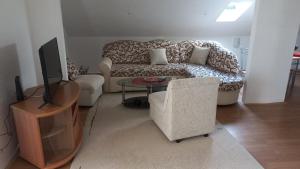 uma sala de estar com um sofá e uma televisão em Apartman Saša em Vranje
