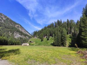 a field with a house in the middle of a mountain at Siegel Almhütte in Zederhaus