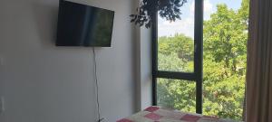 TV a/nebo společenská místnost v ubytování City Centre River View Apartment