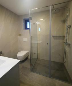 a bathroom with a glass shower with a toilet at Vrleti Tare in Bajina Bašta