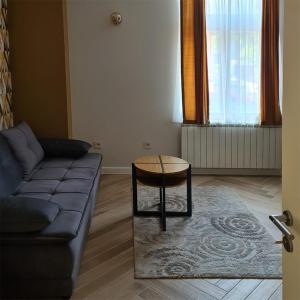 sala de estar con sofá y mesa en KONDOR apartmani, en Vrnjačka Banja