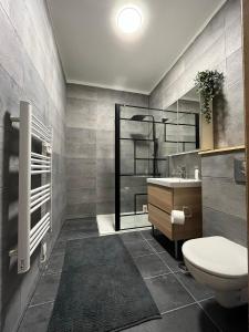 a bathroom with a toilet and a sink at La Maison des Amis en Normandie in Pontfarcy +52 photos