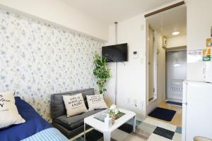 東京的住宿－SC Kameari 1103，带沙发和电视的小客厅