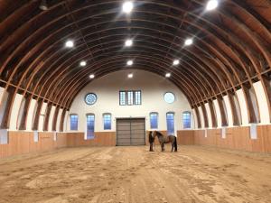 a horse standing in the middle of a large barn at Farmer Hotel Basedow in Basedow