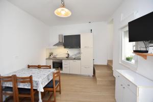 Kuchyň nebo kuchyňský kout v ubytování Apartment Miledina + 11 fotografií