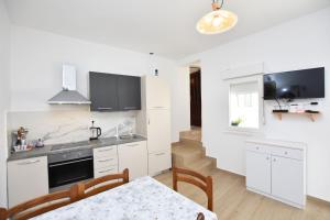 Kuchyň nebo kuchyňský kout v ubytování Apartment Miledina