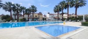 a large swimming pool with palm trees in the background at Villa Beyazıt in Side