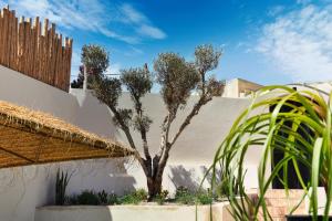 a tree in a garden next to a white wall at Villa Bali Cocoon - Piscine - luxe - 4 or 5 Px in Agadir +72 photos