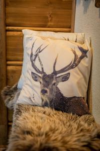 a deer head sitting on a pillow on a bed at Zacisze Pod Reglami in Zakopane