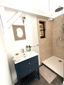uma casa de banho com um lavatório azul e um chuveiro em Chambre d'hôtes Cabanon à 10 min d'Aix-en-Provence em Aix-en-Provence