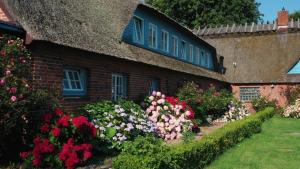 a brick house with a bunch of flowers in the yard at Strandhaus Falshöft 3 in Nieby