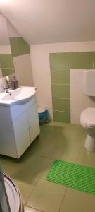 un bagno verde e bianco con lavandino e WC di Casa Licurici a Govăşdia