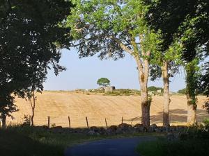 una strada alberata e un campo sullo sfondo di Appartement 6 pers sur l'Aubrac 