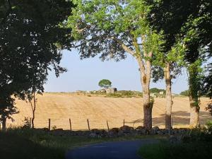 een weg met bomen en een veld op de achtergrond bij Appartement 6 pers sur l'Aubrac 