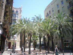 eine Reihe von Palmen in einer Stadtstraße in der Unterkunft Suite Gracia Barcelona in Barcelona