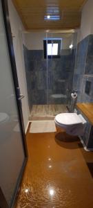 La salle de bains est pourvue d'une douche et de toilettes. dans l'établissement Casuta Noastra - Sulina, à Sulina