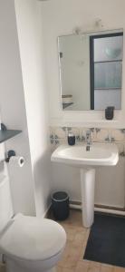 een badkamer met een witte wastafel en een toilet bij Cap d'agde- Appartement proche village naturiste in Cap d'Agde