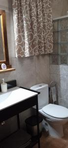 a bathroom with a toilet and a sink at Casa Cueva El Almendro in Pegalajar +39 photos