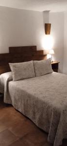 sypialnia z dużym łóżkiem z lampką w obiekcie Casa Cueva El Almendro w mieście Pegalajar