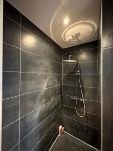 uma casa de banho com um chuveiro e um lavatório. em LES ANTHOCYANES em Champagny