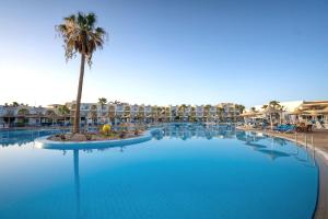 ein großer Pool mit einer Palme in einem Resort in der Unterkunft Labranda Club Makadi in Hurghada