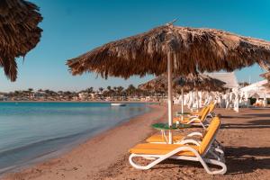 a group of chairs and an umbrella on a beach at Lemon & Soul Makadi Garden in Hurghada