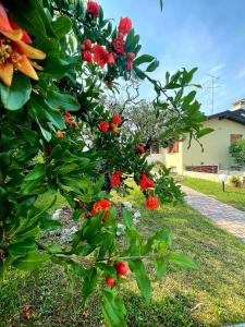a bush with red flowers in a yard at VILLA AMA in Pordenone
