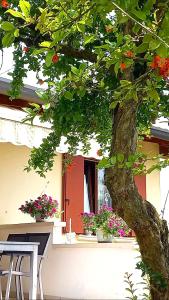 un árbol frente a una casa con flores en VILLA AMA, en Pordenone
