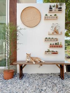 Fotografie z fotogalerie ubytování Check-in Resort Koh Larn v destinaci Ko Larn
