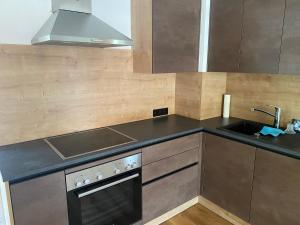 a kitchen with a sink and a stove at Appartmens am Attersee Dachsteinblick in Nussdorf am Attersee