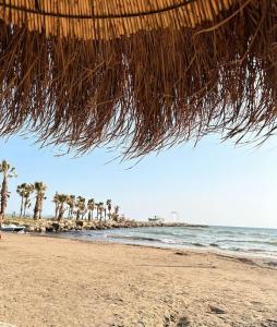 - un parasol sur une plage de palmiers dans l'établissement Seaview Apartment, Durres Beach, à Durrës