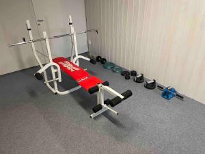 Fitness centrum a/nebo fitness zařízení v ubytování Space to socialize 3km from the peak of Isaberg!