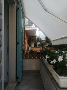Balkón nebo terasa v ubytování carmencamere