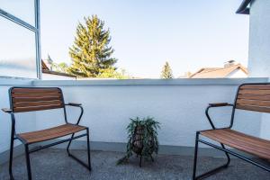dos sillas y una maceta en un porche en Schicke Wohnung/tolle Anbindung, en Bieber