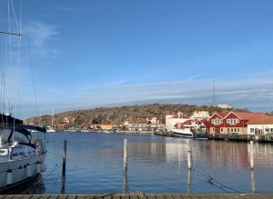 a boat is docked in a harbor with houses at Hamnhuset Björkö in Björkö