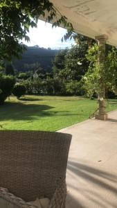 a wicker chair sitting on a patio with a grass field at Camelias in Guimarães +1 photo