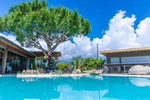 a swimming pool with a tree in front of a house at Résidence de la Plage in Porto-Vecchio